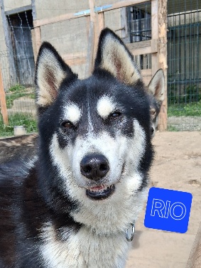 Rio